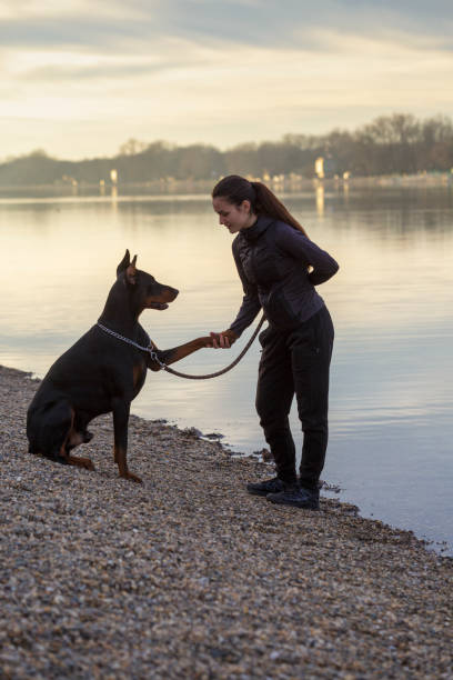 istock Girl with dog 1368015196