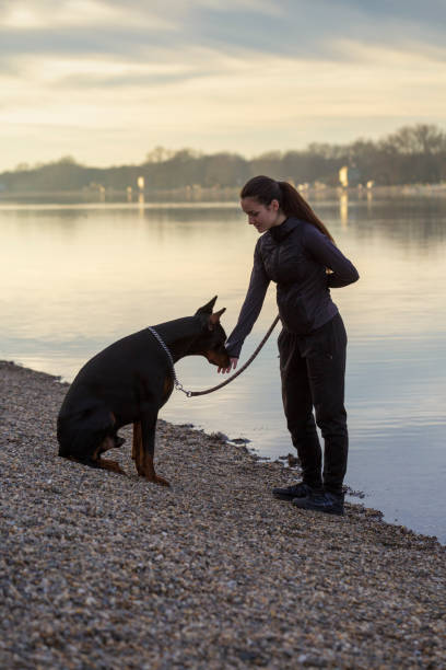istock Girl with dog 1368015314
