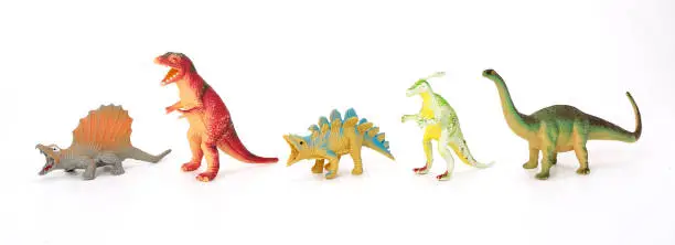 Photo of Various dinosaurs from prehistoric times in a row on white background.