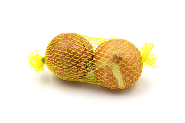 Sprouted Onion on pink background, growth concept