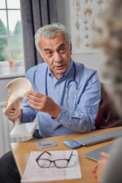 해부학 모델을 사용하여 엉덩이에 관절 통증을 논의하는 여성 환자와 성숙한 남성 의사 회의 - hip replacement 뉴스 사진 이미지