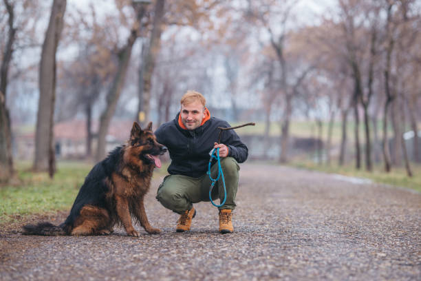 istock Young man and German shepherd in park 1368017417