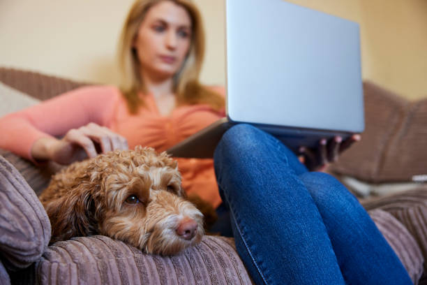 Woman With Pet Cockapoo Dog Relaxing On Sofa With Laptop At Home