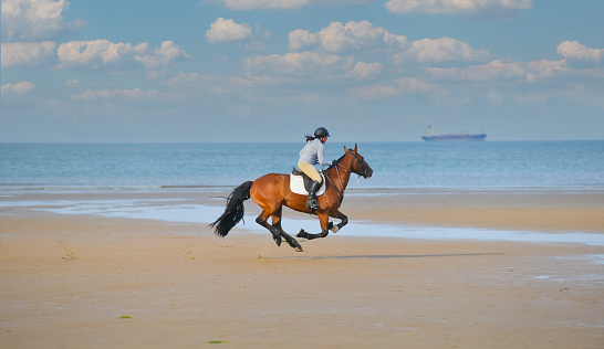 Horse and rider enjoy the feeling of flying as they move at speed on empty beach in rural Wales UK, on a summers day, the dream of many young girls to ride free and fly.