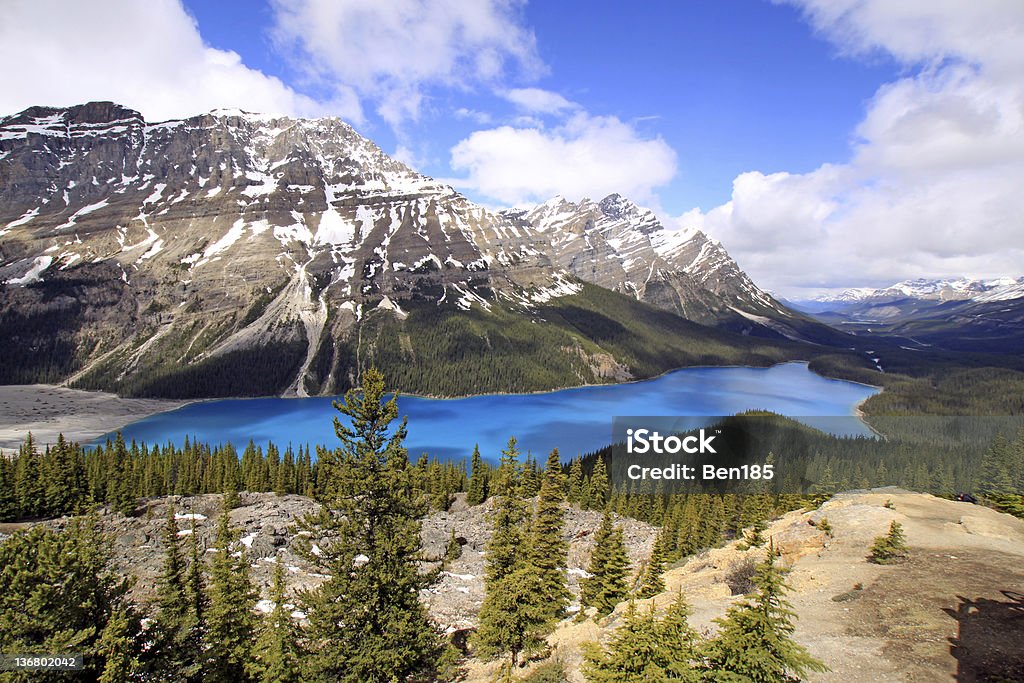 See Peyto Lake - Lizenzfrei Berg Stock-Foto