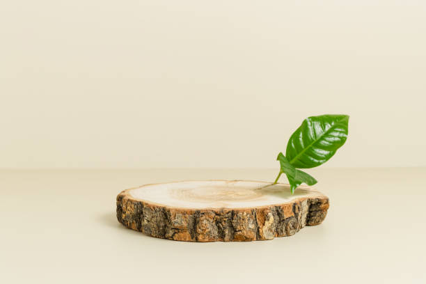 istock Empty wooden podium for display with green leaf, eco friendly minimal concept 1368022730