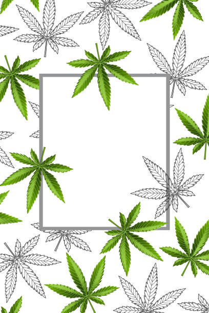 Cannabis leaf drug marijuana herb background. Paper note 2 vector art illustration