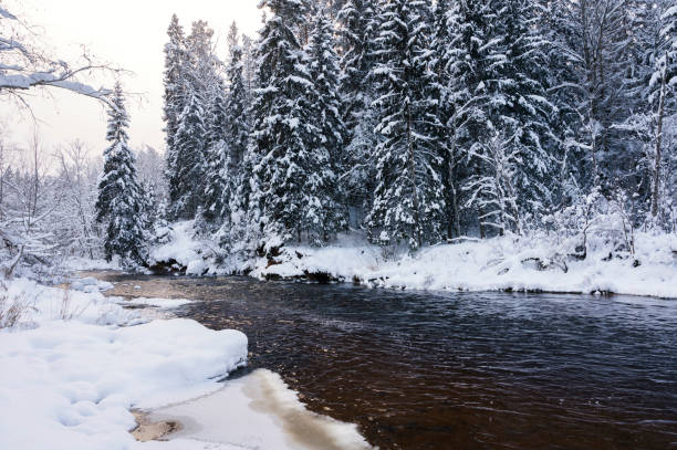 istock Winter landscape scenery along River Amata trail during snowy winter. 1368026013