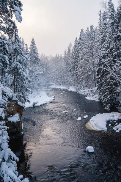 istock Winter landscape scenery along River Amata trail during snowy winter. 1368026171