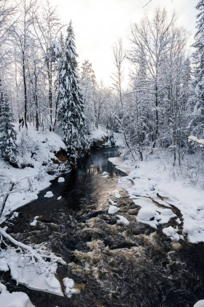 istock Winter landscape scenery along River Amata trail during snowy winter. 1368026272