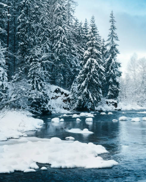 istock Winter landscape scenery along River Amata trail during snowy winter. 1368026886