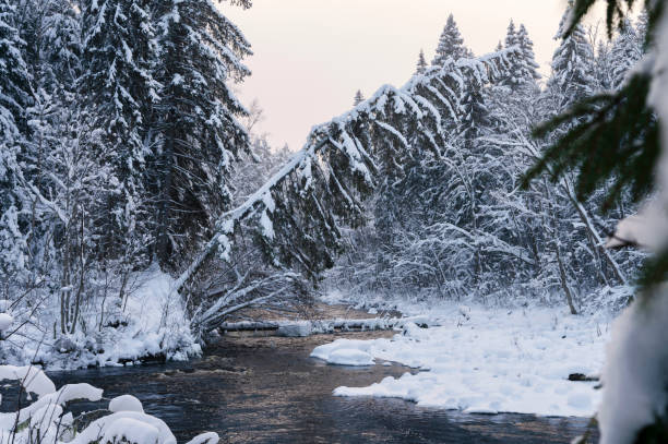 istock Winter landscape scenery along River Amata trail during snowy winter. 1368027123