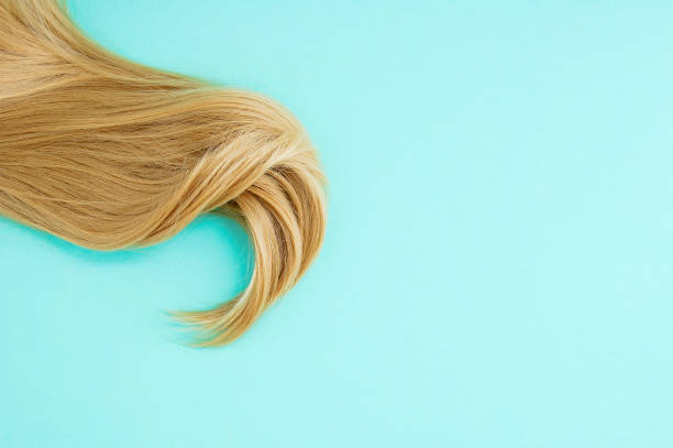 Golden blond strand hair. Green background. Place for text. Golden blond strand of hair. Green background. Place for text. hair strands stock pictures, royalty-free photos & images