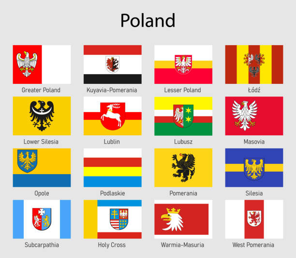 ilustrações de stock, clip art, desenhos animados e ícones de set flags of the voivodships of poland, all polish regions flag - malopolskie province