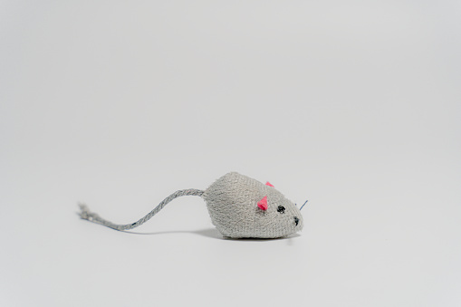 Mouse. Toy mouse on a white background.