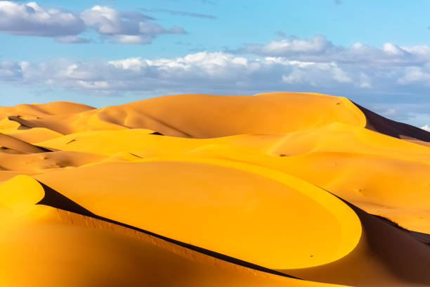 istock Landscape of the Sahara desert 1368036857