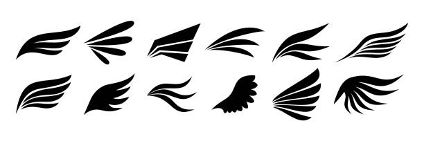 set one sided wings icon set one sided wings icon in vector graphic. Modern and minimalist elements isolated for logo, tattoo, symbol, and any ornament design. cartoon of phoenix feather tattoos stock illustrations