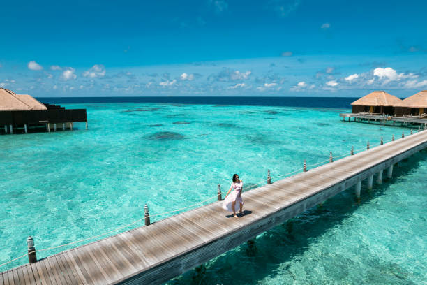 istock Beautiful woman enjoying view on jetty bridge 1368042931
