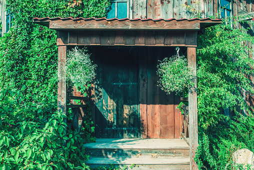 Retro wooden front door of old house. Entry to vintage wood home. Vine overgrown rustic house with portico entrance in spring village