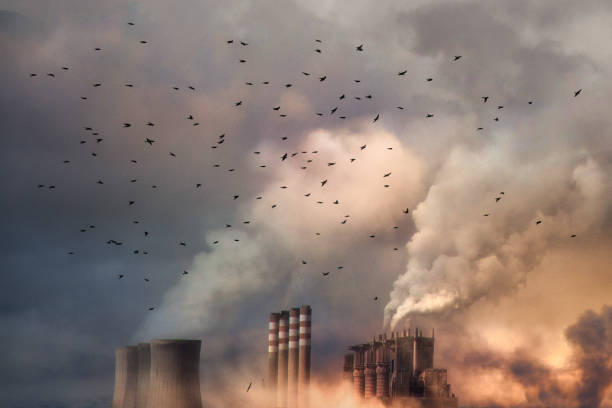 centrale a carbone e inquinamento ambientale - coal fired power station foto e immagini stock