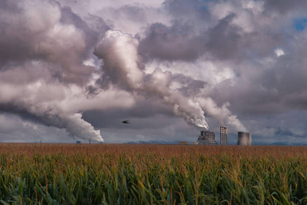 Coal power plant and environmental pollution