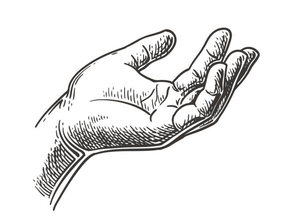 szkic trzymający za rękę - dłoń stock illustrations