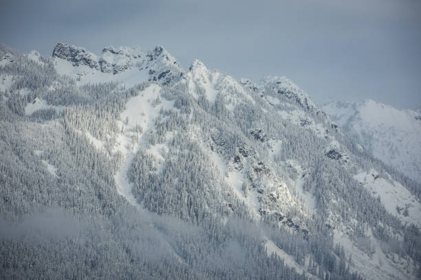 Frozen river of the golden dreams in sunny cold day in Whistler valley.