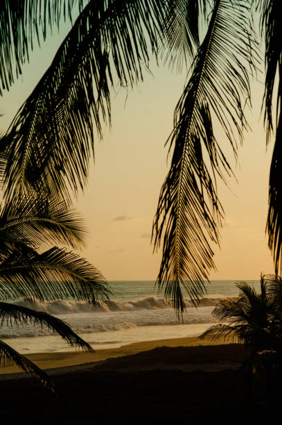 istock Calm tropical beach in Mexico 1368051670