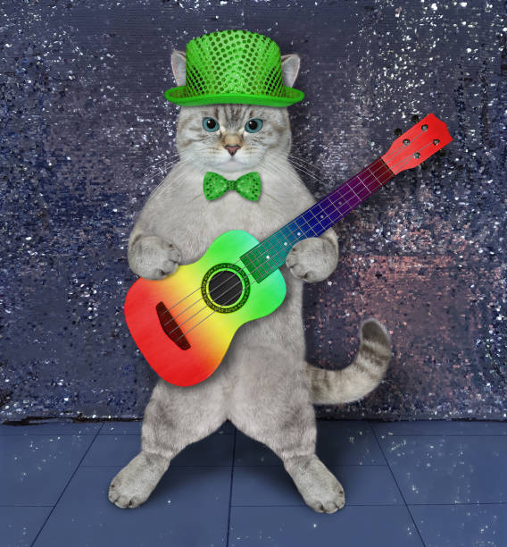 istock Cat ashen plays acoustic guitar on stage 1368053759