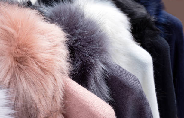 Close up of fur of winter jacket. Animal torture and killing for fur. Close up of fur of winter jacket. Animal torture and killing for fur. fur protest stock pictures, royalty-free photos & images
