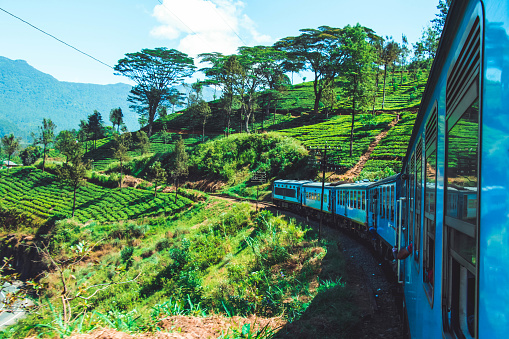 Sri Lankan Train Among Beautiful Estates