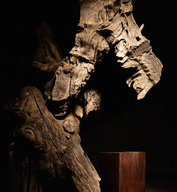 istock Textured, wooden snag and podium 1368060095