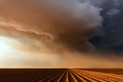 Dramatic dust storm with ominous clouds over a farm field near Lubbock, Texas, USA.