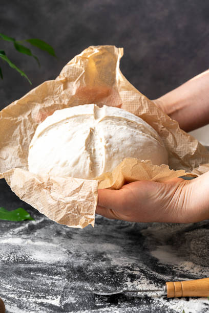 istock Cooking sourdough bread at home. Freshly risen bread dough witha lame, getting ready for baking. 1368060981
