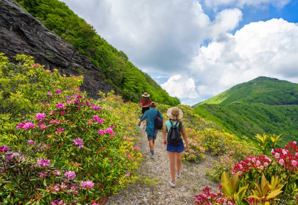 Friends hiking in Appalachian mountains.