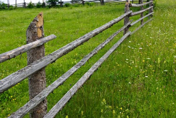 istock wooden fence on a green pasture 1368062561