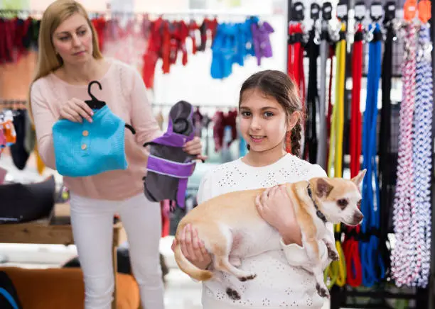 Photo of Portrait of girl holding dog during shopping at pet shop