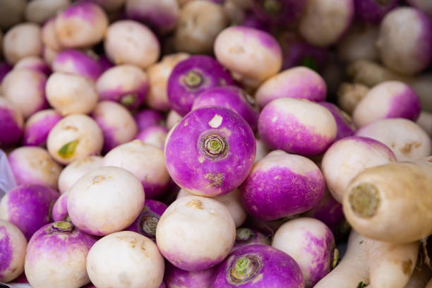 Turnip roots displayed for sale at greengrocery Fresh turnip at farmers market stall ready for sale turnip stock pictures, royalty-free photos & images