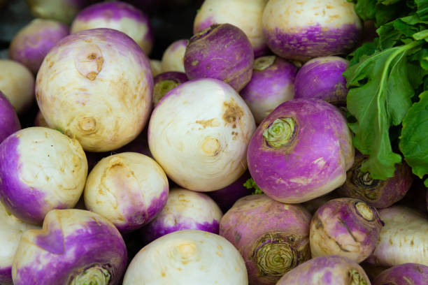 istock Fresh organic turnips in boxes at market 1368063488