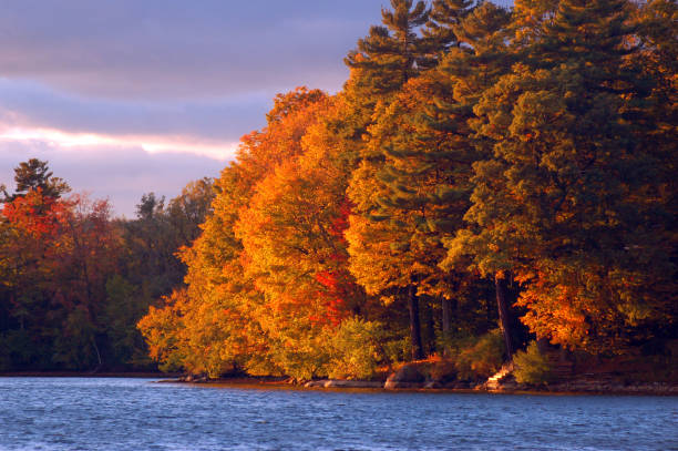 осенние листья, отражающиеся в воде - berkshire hills стоковые фото и изображения