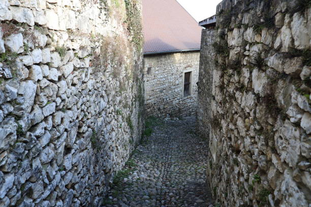 istock Morestel - Vieille rue typique 1368065846
