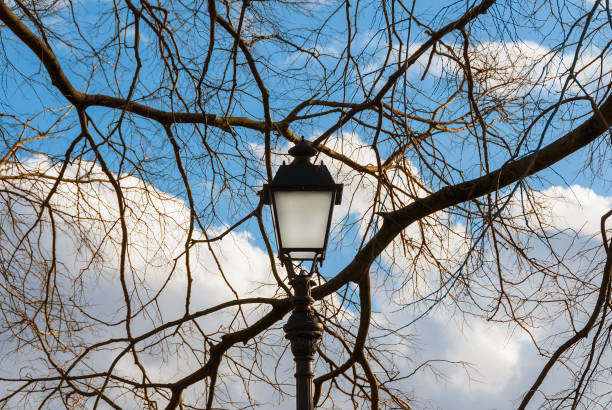 istock Old Streetlamp with winter tree 1368067444