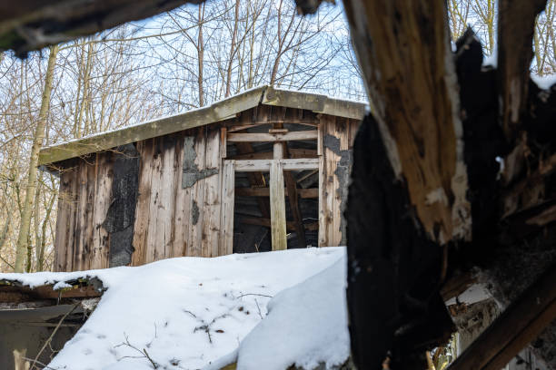 istock Abandoned Wooden Cabin with Broken Roof 1368071076