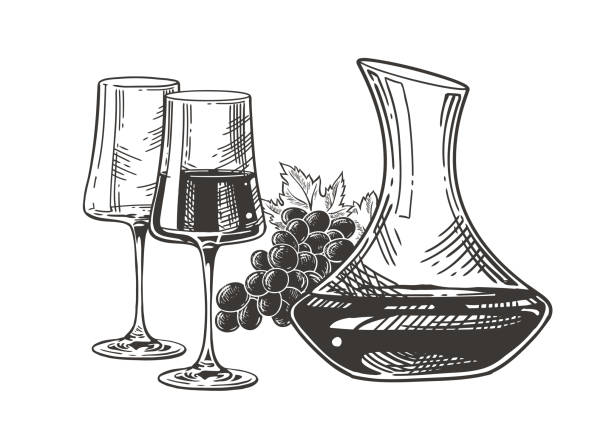 illustrations, cliparts, dessins animés et icônes de vin comp 2 croquis - carafe decanter glass wine