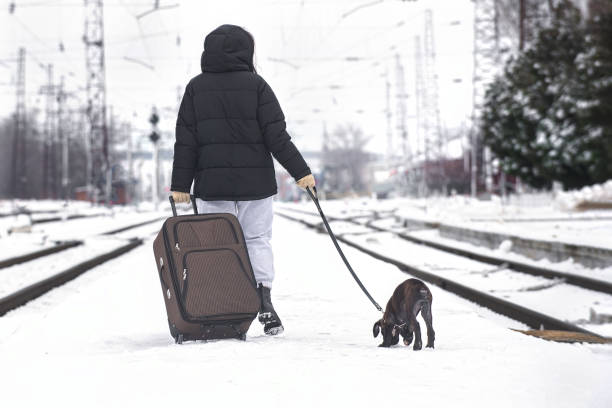 istock Waiting for a train to travel by rail with pets 1368084325