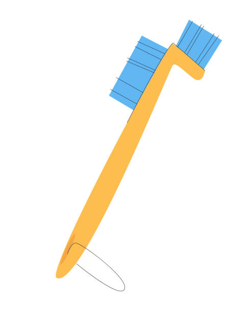 istock Double-sided brush with handle for cleaning sanitary and other household areas. Isolated on a white background. Flat vector 1368084461
