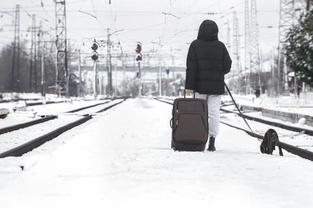 istock People waiting for train travel by railroad with pets 1368084740