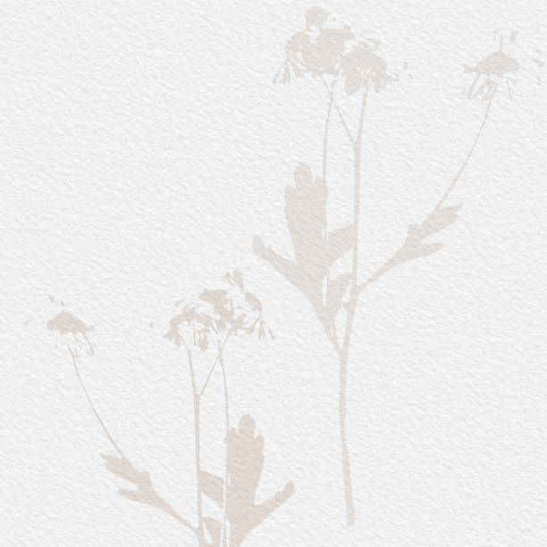 istock Delicate watercolor botanical digital paper floral background in soft basic nude beige tones. Neutral elegant pattern on white organic paper texture 1368098694