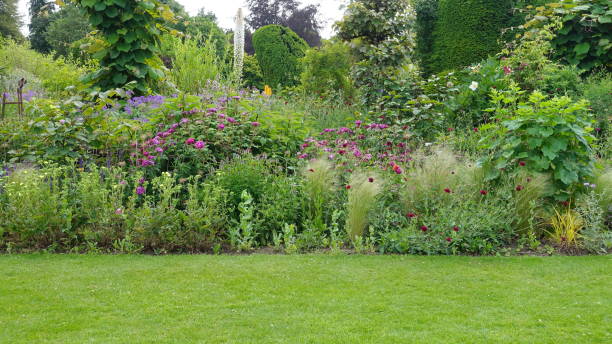 istock Grass Lawn and Flower Bed 1368099480