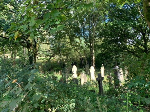 istock Woodland cemetery sunlight 1368099500